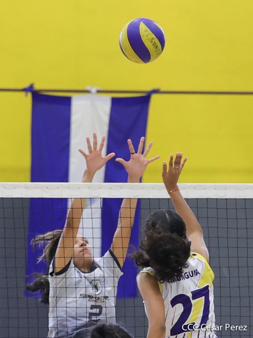 voleibol